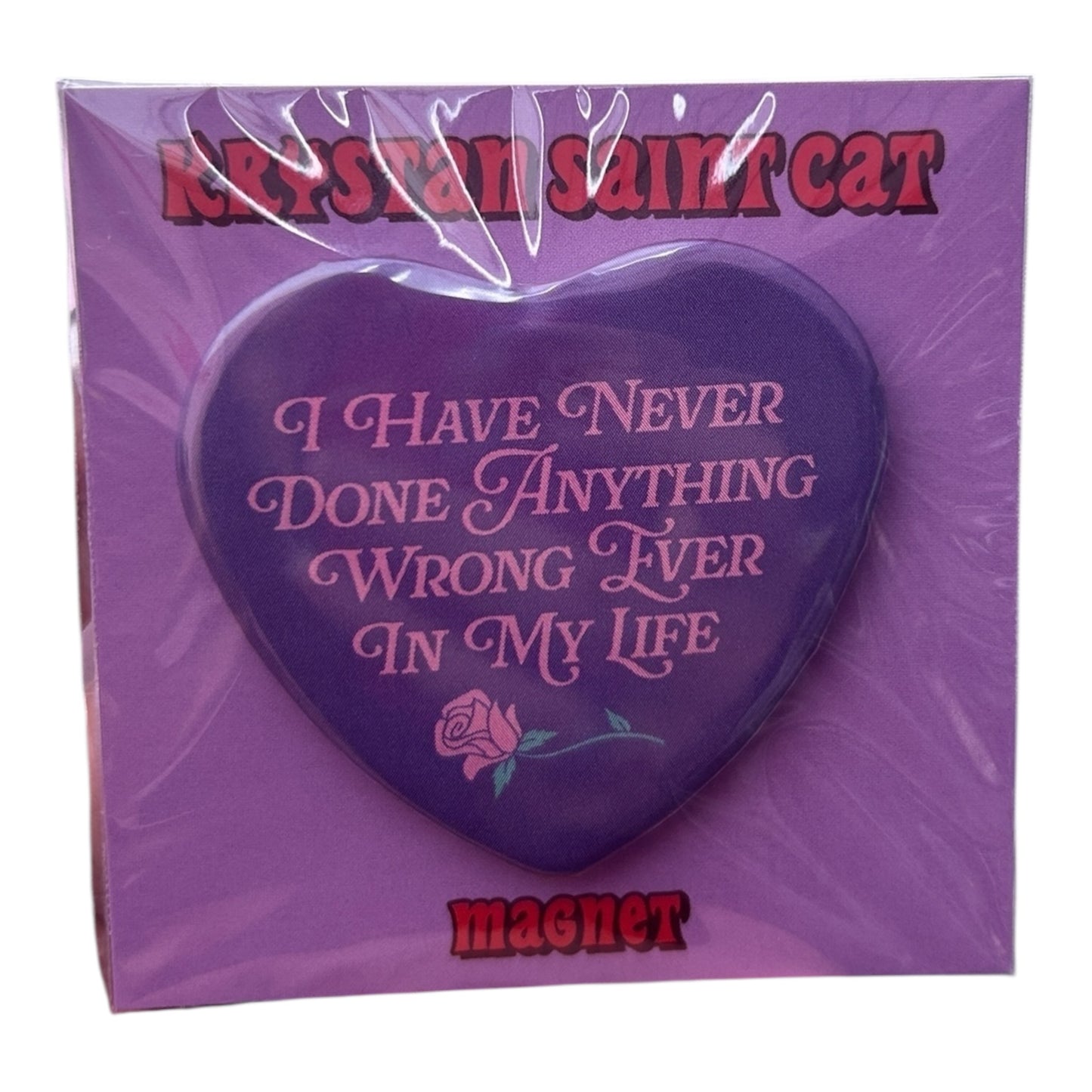 I Have Never Done Anything Wrong Ever in My Life Magnet